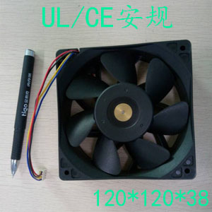 12038高风量蘑菇视频APP黄